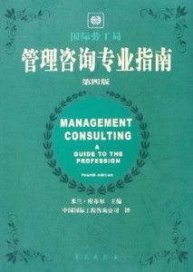 管理咨詢專業指南 第4版