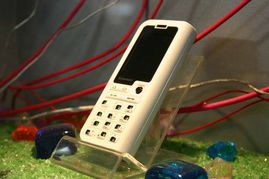 5號(hào)館聯(lián)想產(chǎn)品秀 2005年中國(guó)國(guó)際通信設(shè)備技術(shù)展的機(jī)械設(shè)備租賃亮點(diǎn)